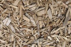biomass boilers Danygraig